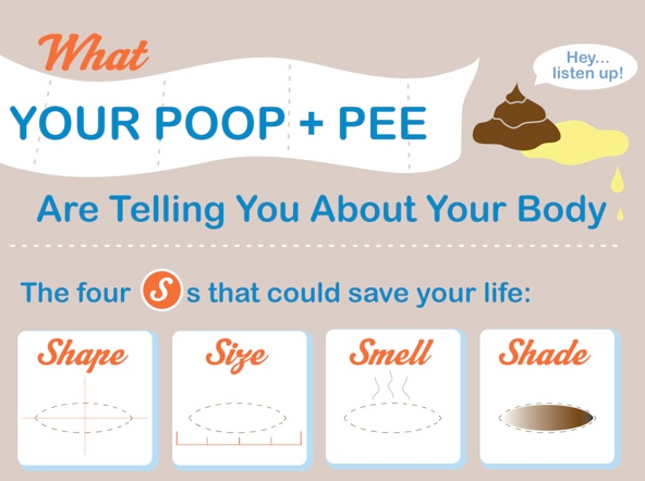 how-to-understand-dog-poop-with-stool-chart-infographic