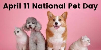 Read more about the article Monday, April 11 is National Pet Day