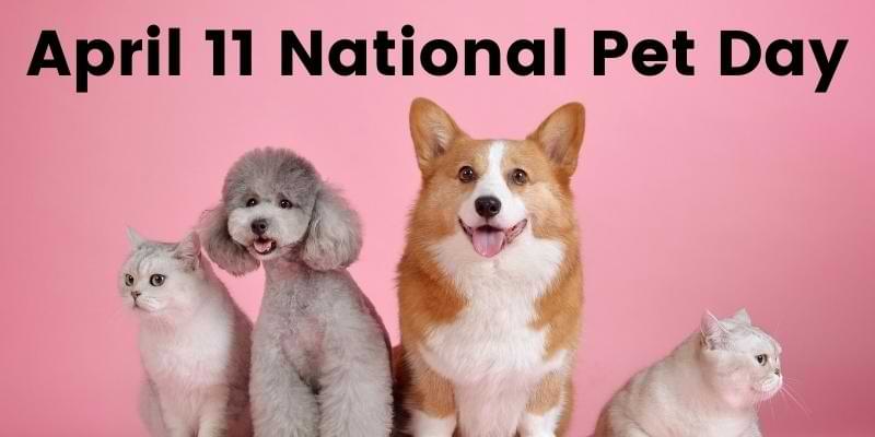 You are currently viewing Monday, April 11 is National Pet Day