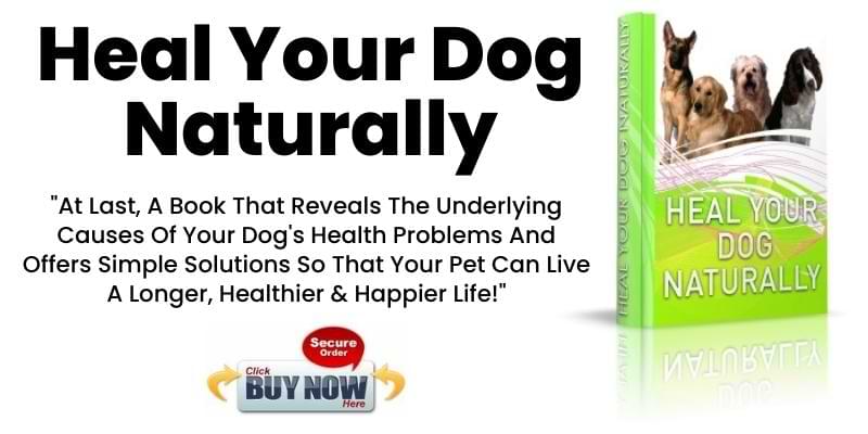 Heal Your Dog Naturally - april 11 national pet day