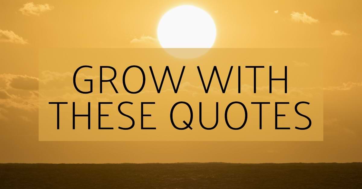 You are currently viewing 100+ Personal Growth Quotes